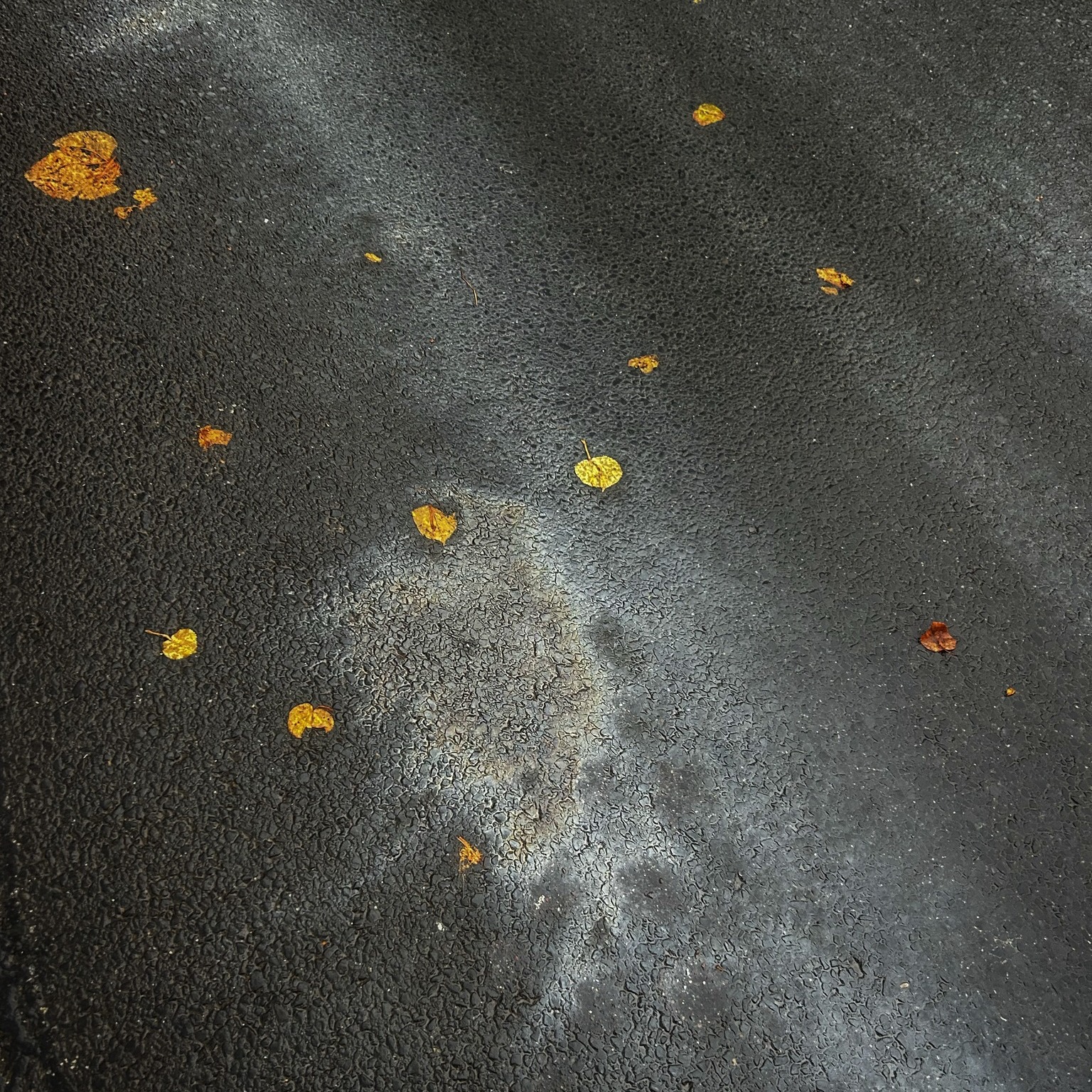 Keine Fotobeschreibung verfügbar.